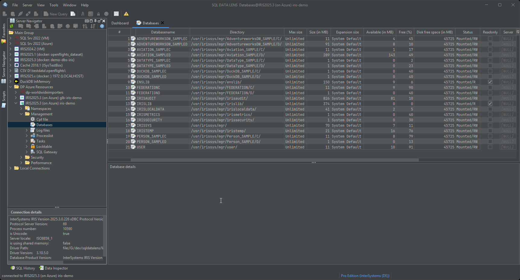 Database viewer listing the databases of an IRIS server with directory, IRIS.DAT file size, resource name and mount state, and the namespace-to-database mapping shown alongside