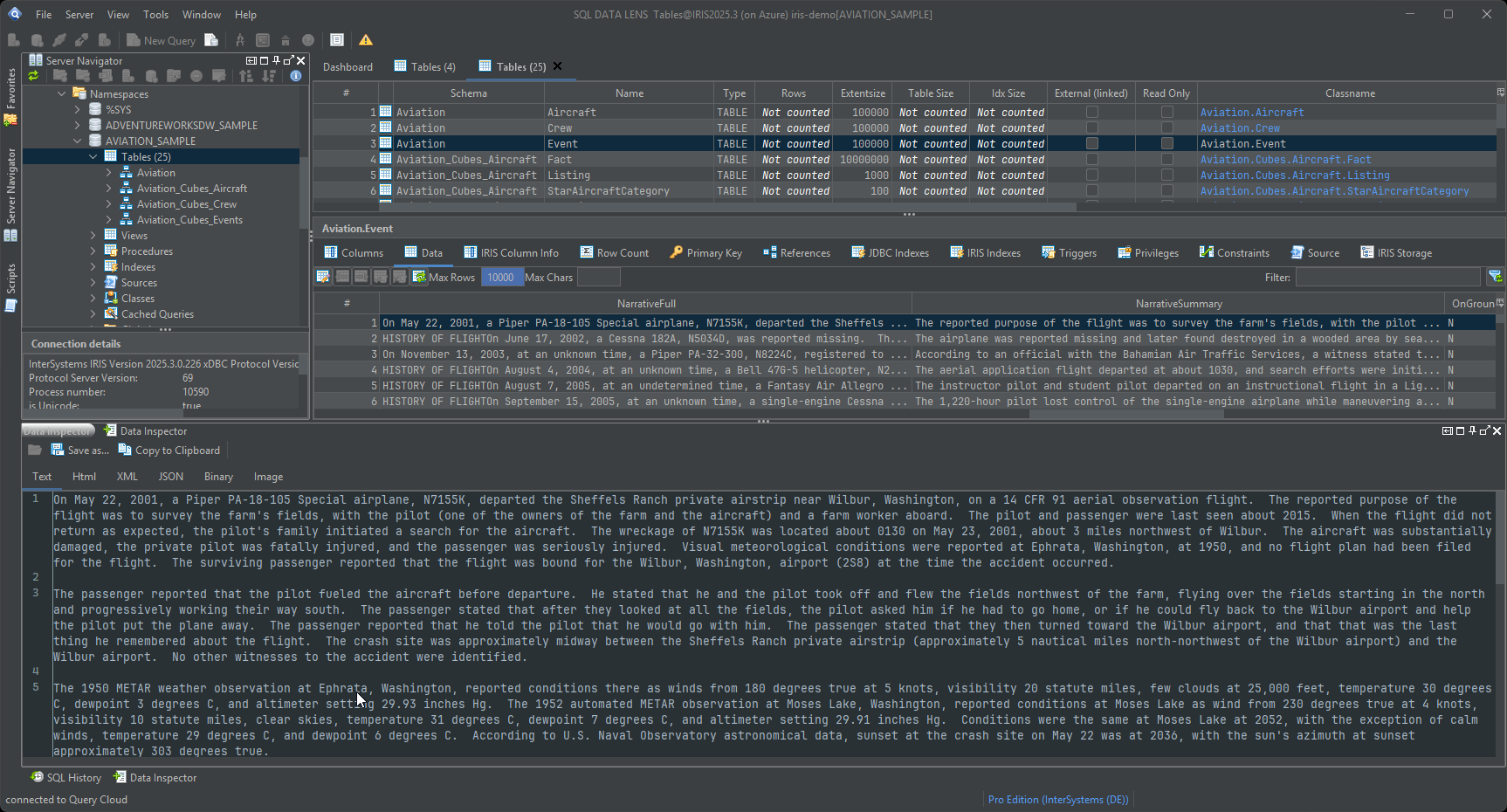 Data Inspector opened from a result grid, showing the full narrative text of one cell in a resizable pane below the grid, with the format selector offering Text, HTML, XML, JSON, Binary and Image