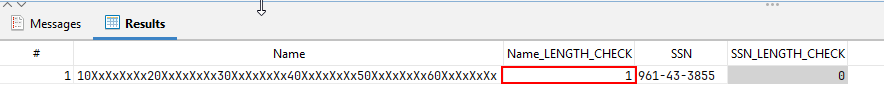 Result grid with one row. Name_LENGTH_CHECK is 1 and marked in red, SSN_LENGTH_CHECK is 0.